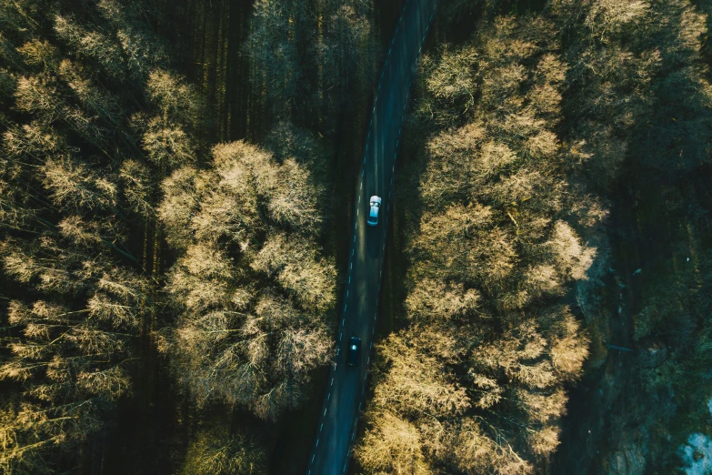 an aerial view of an open road in the forest