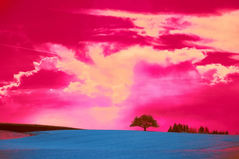 the sky is bright pink and purple with a single tree