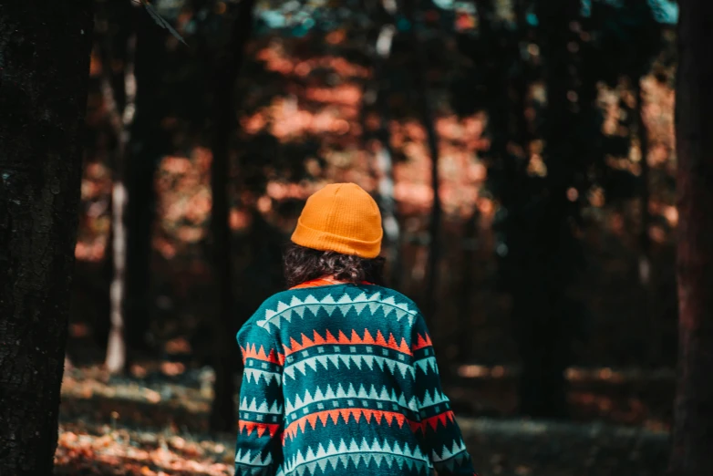 a man standing in a forest wearing a multi - colored blanket