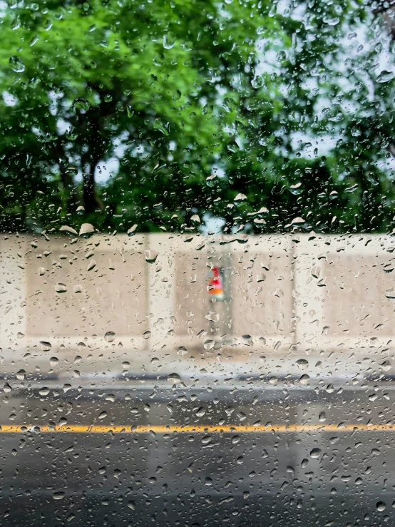 a wet windshield is shown with the trees behind it