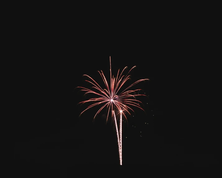 a large firework with lots of lite up