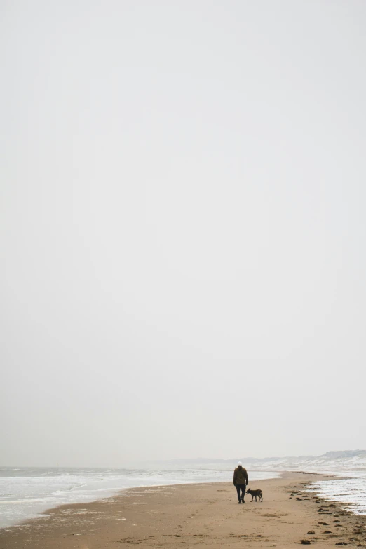 a man and a dog walking along the beach on a cloudy day