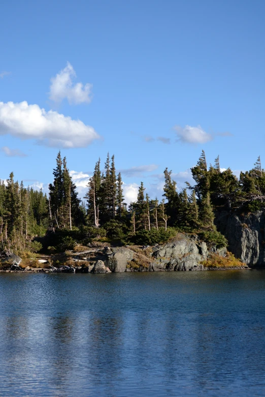 there is a tree line that stands along the side of a hill