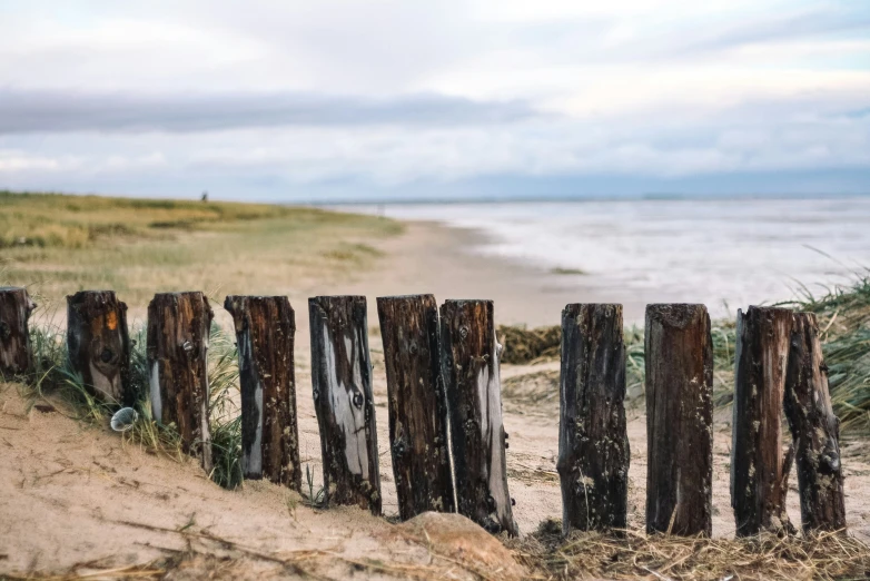 fence in sand leading to the beach at high tide