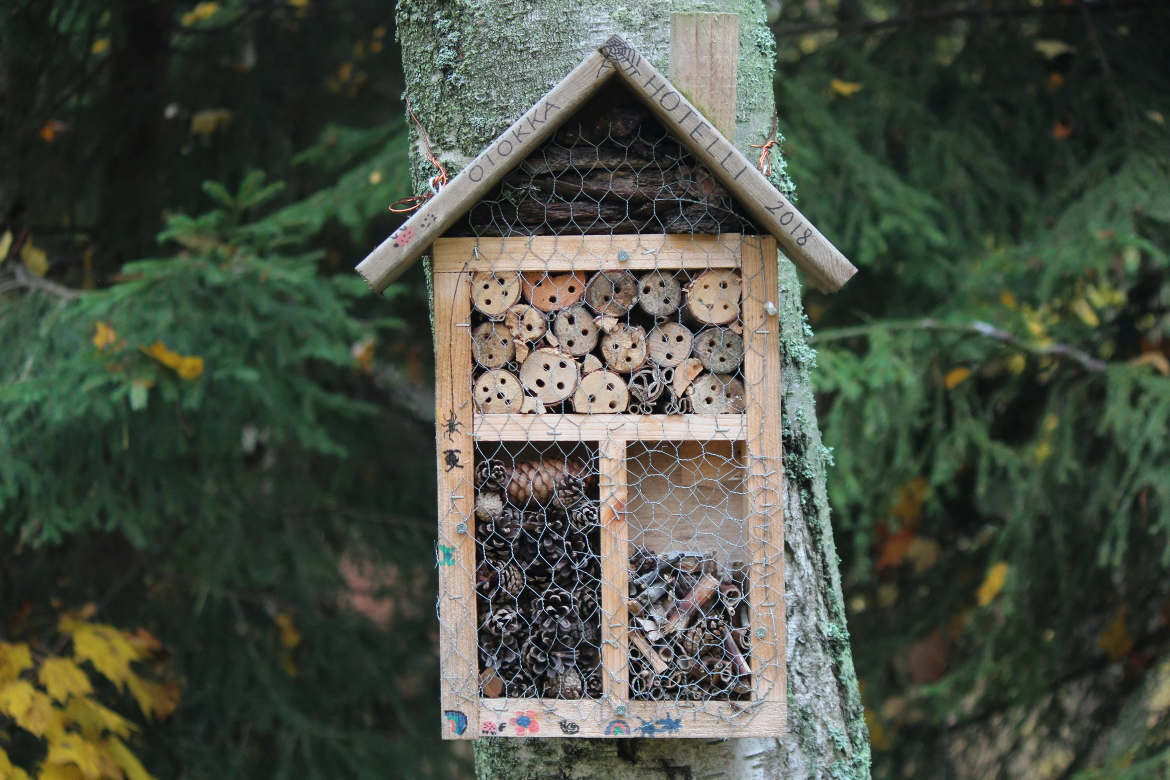 a bird house built into the side of a tree