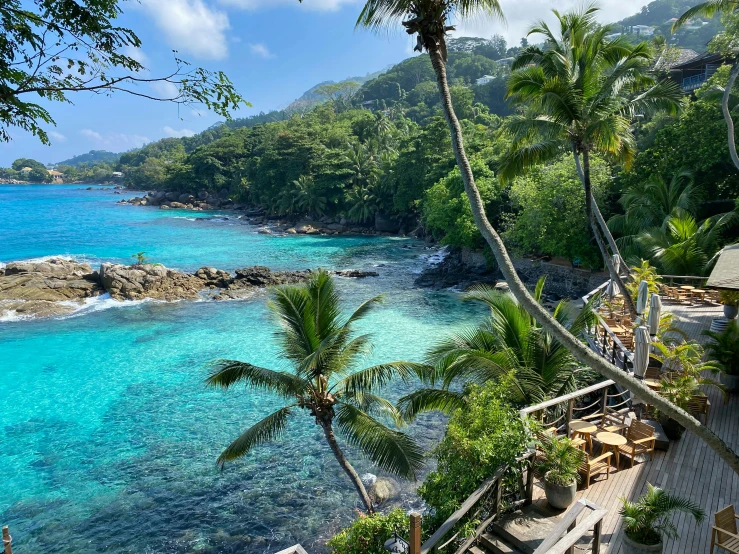 a view of a body of water with some trees on the shoreline