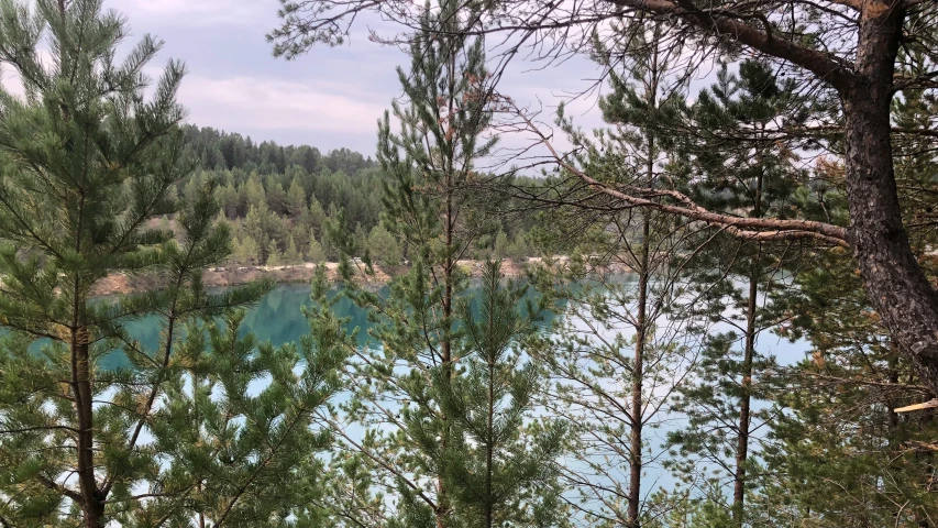 the water near many trees looks very blue