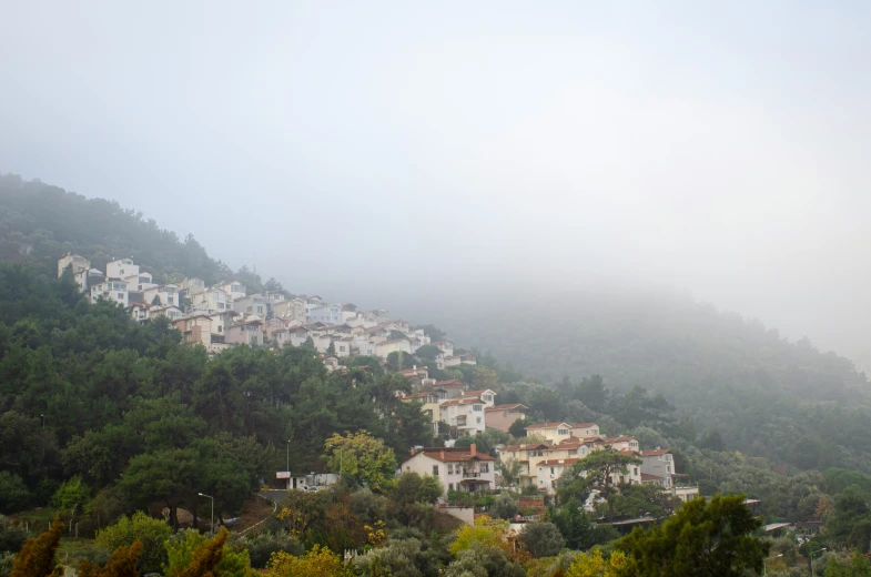 a hillside with houses on it and fog