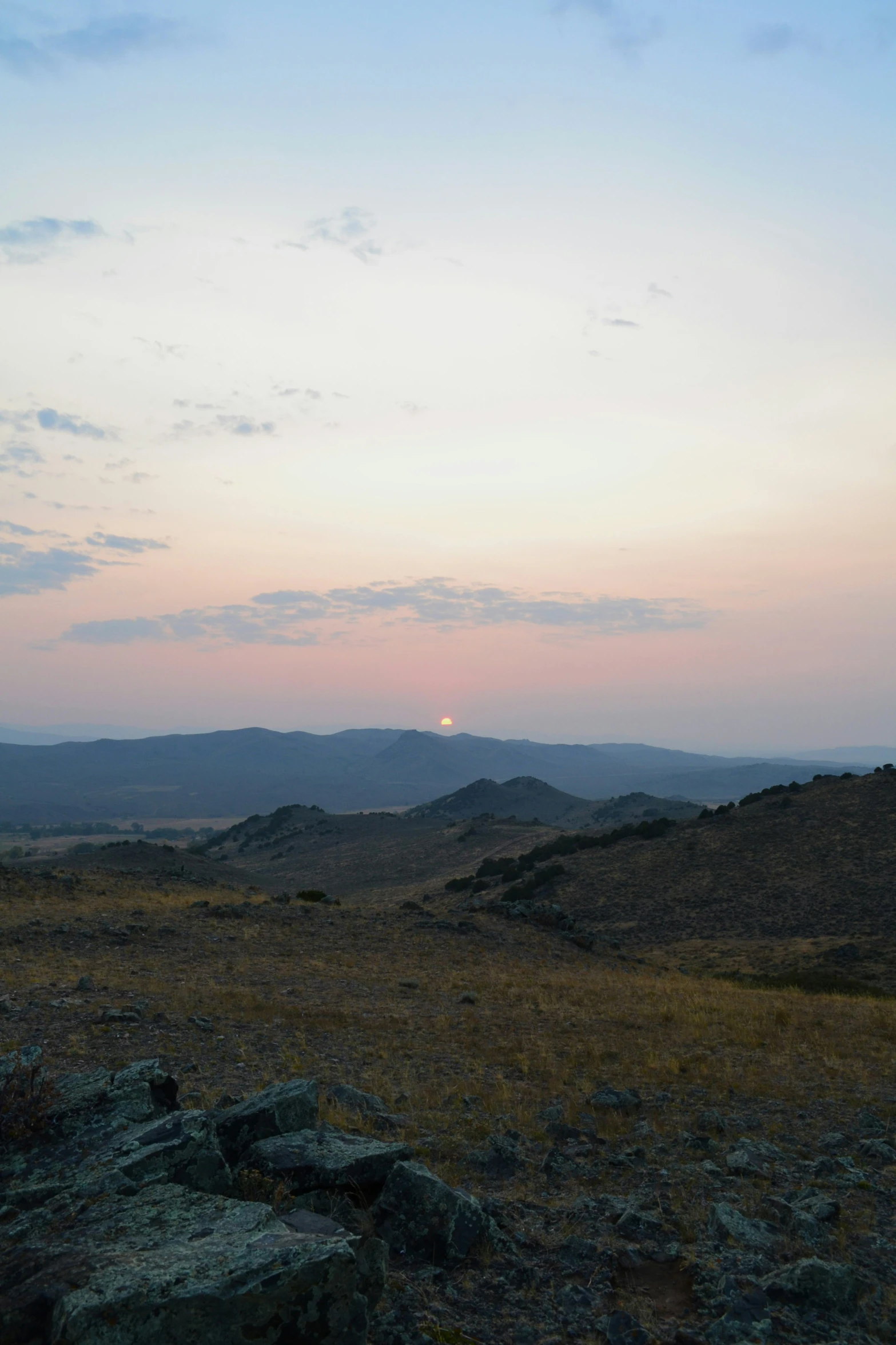 this is a grassy plain with some mountain in the background