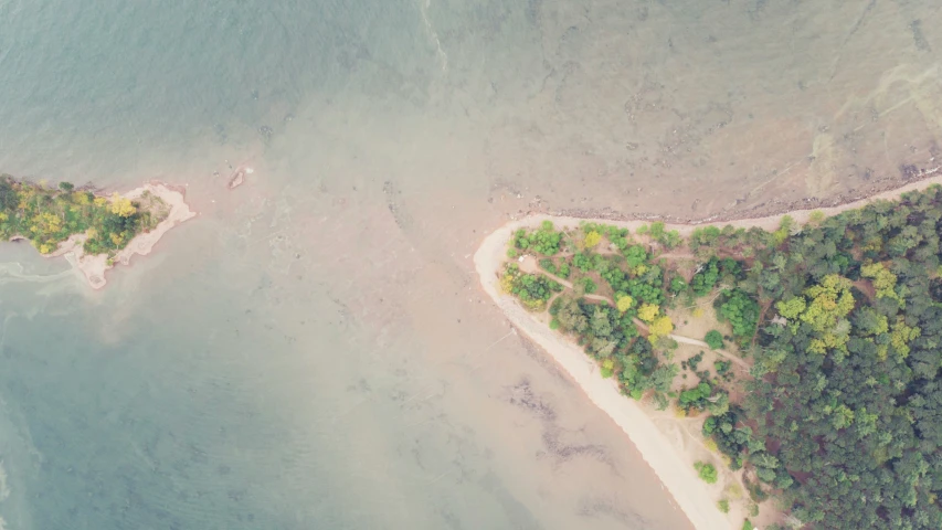 an aerial view of some very pretty trees