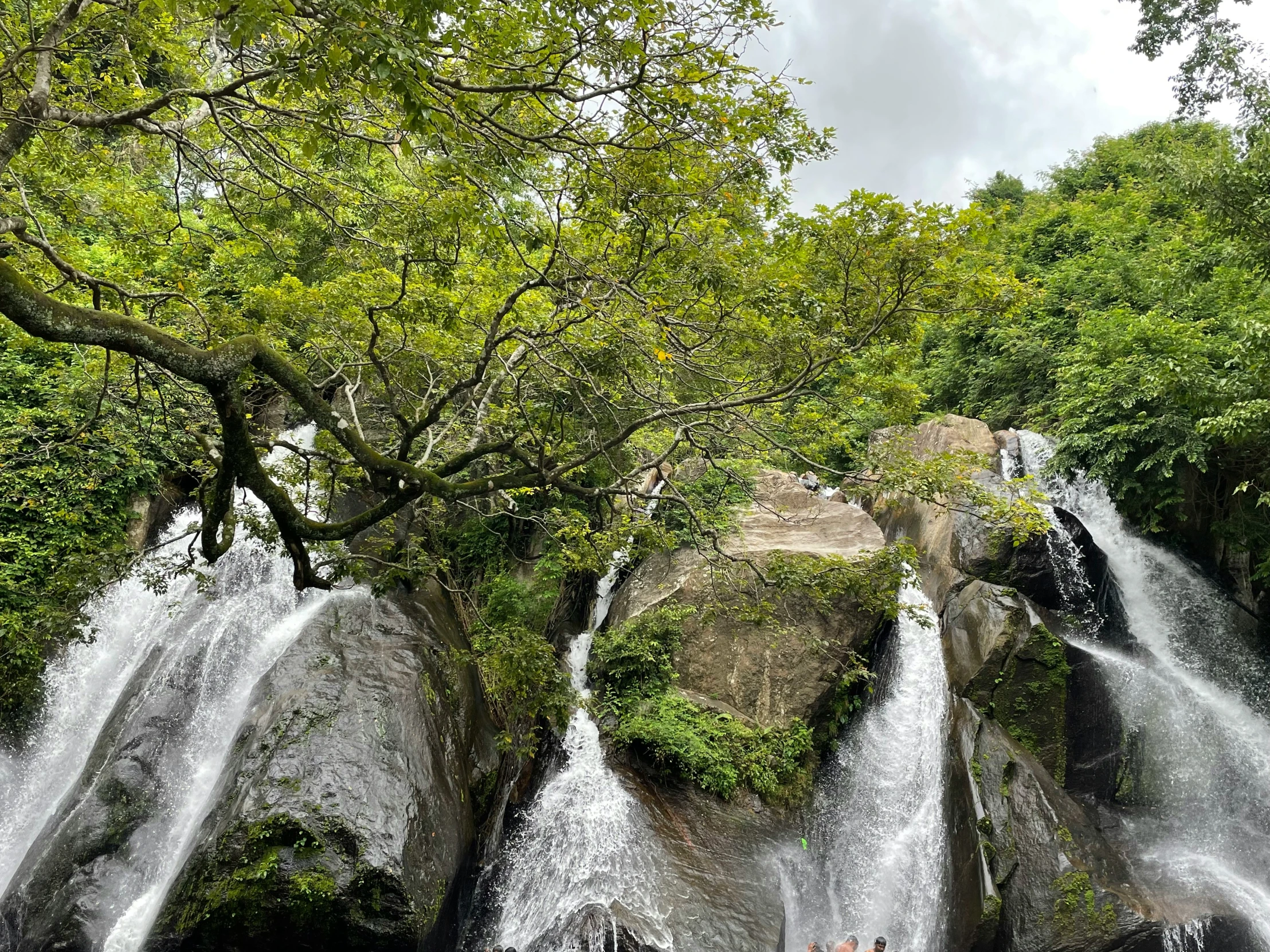 there are many waterfalls falling from the trees