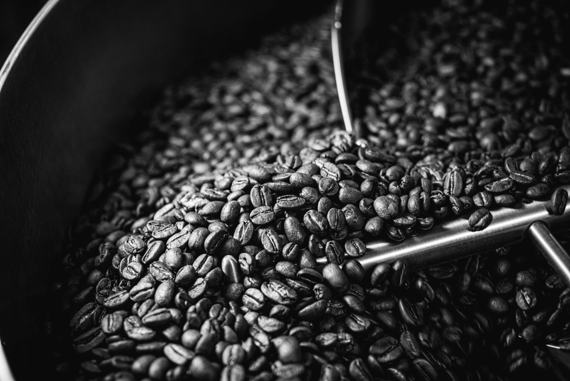 closeup of coffee beans in a pot