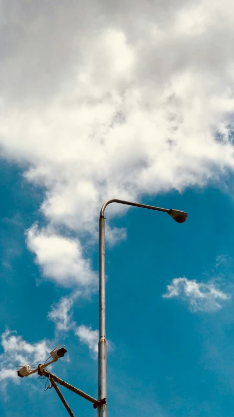 birds perched on the top of a pole