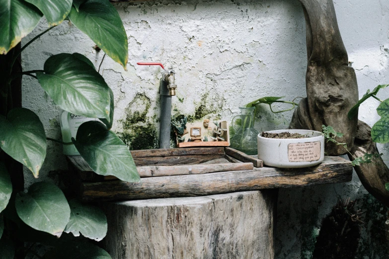 a white planter with greenery and a bowl in front