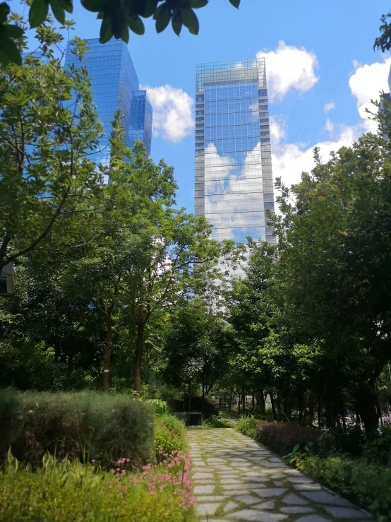 park with trees, grass and bushes near buildings