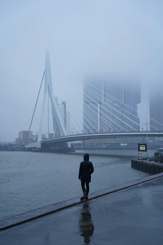 a person walking down a sidewalk by the water in the rain