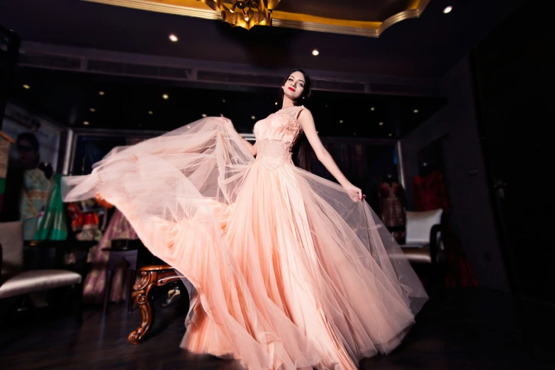 a woman in a peach colored dress with sheer netting