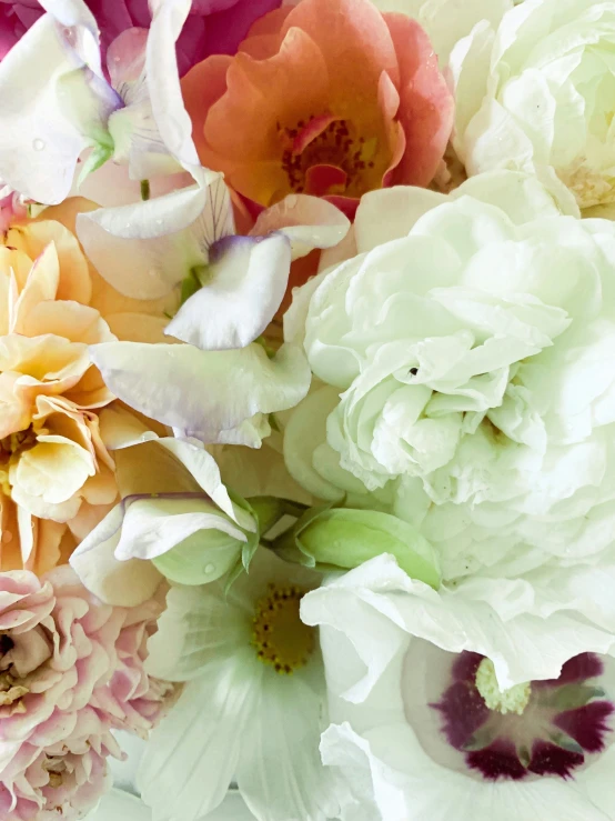 the many types of flowers in this bouquet are white, pink and orange