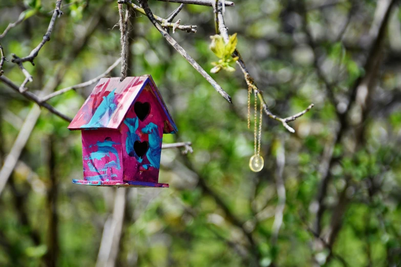 a bird house hanging from the nches of a tree