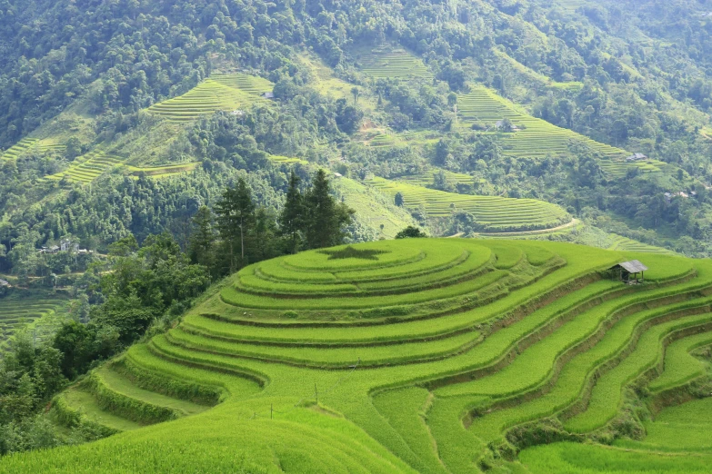 this is a hill with rice terraces in the foreground