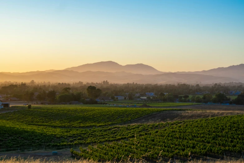 a sunset in the valley near a vineyard