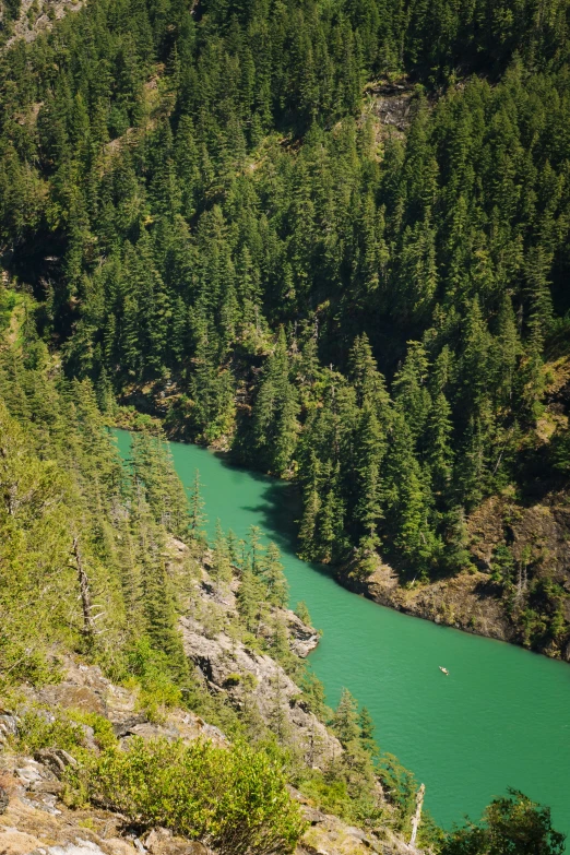 a view of a large lake in the middle of some woods