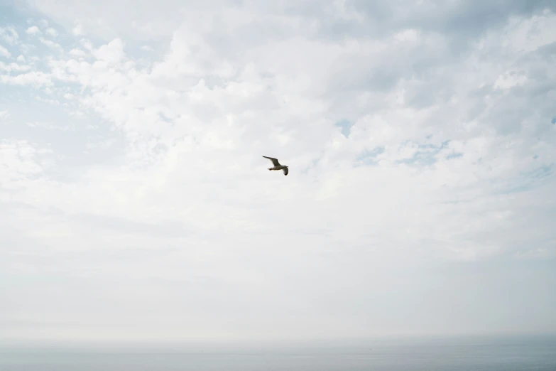 a bird flies high in the sky next to water