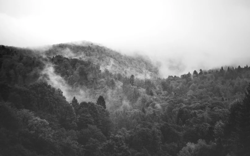 the trees are silhouetted against a cloudy sky