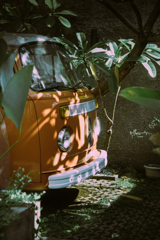 a vw bus parked under a tree in the shade