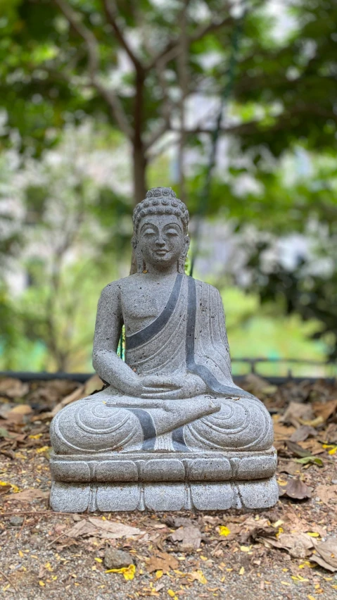 a statue of a buddha is sitting in the middle of leaves