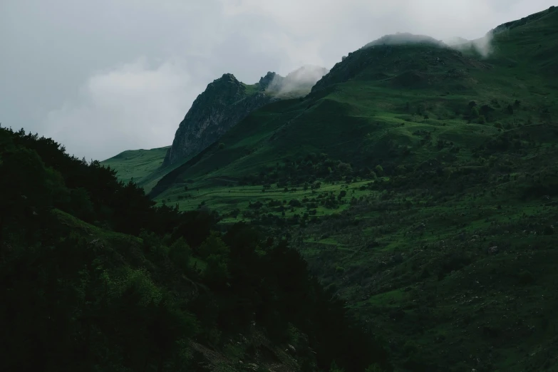 mountain view with mist and clouds below the top