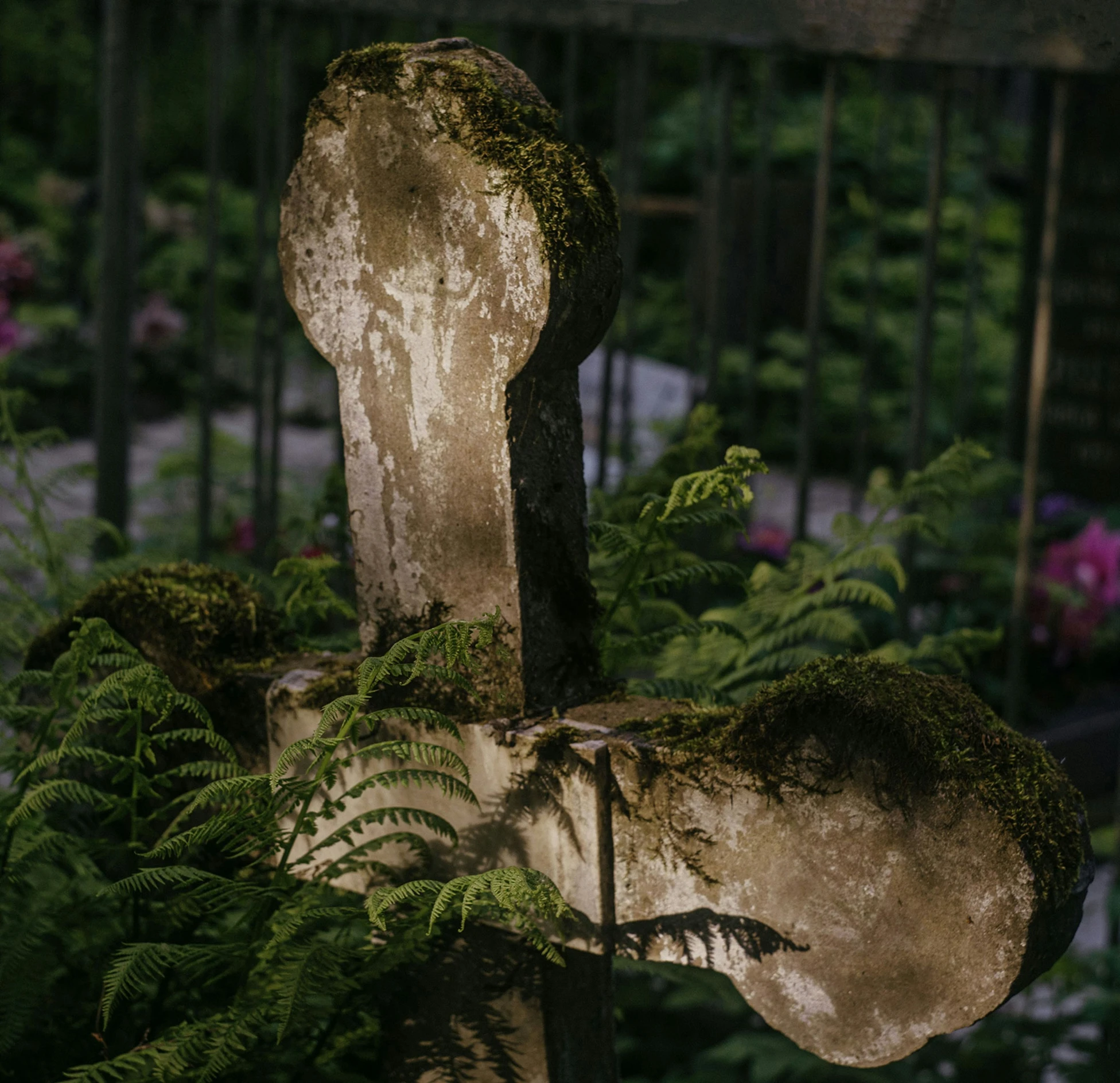 a very strange shaped bench in a garden