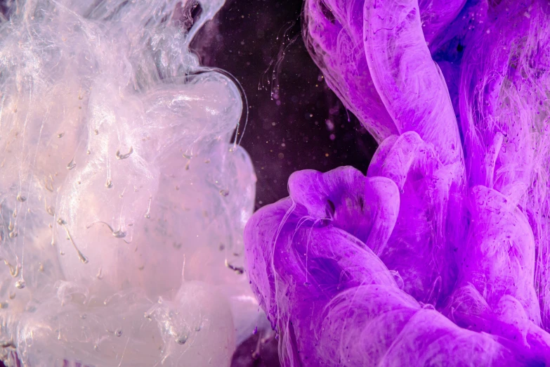 an image of a close up of purple and white stuff