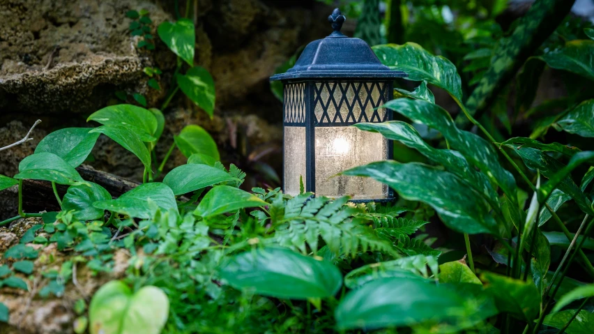 a lamp outside in the jungle on the rocks