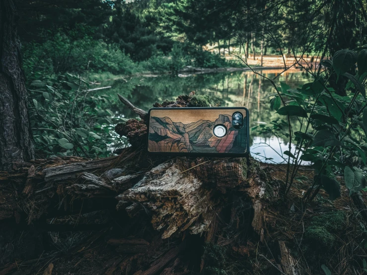 a wooden box with an owl face in a forest