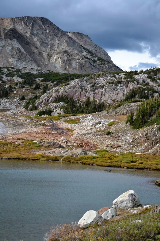 there is water in the valley and many trees