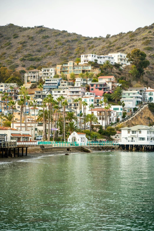 a city sits along the shoreline of a body of water