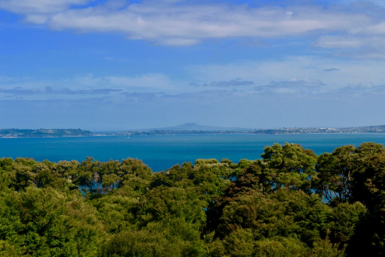 an image of a scenic view from a hill