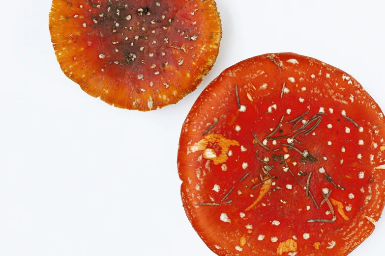 two red slices of tomato with dots are on the ground