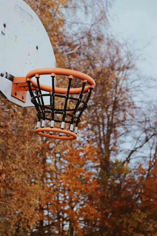 a basketball goal is suspended above the net