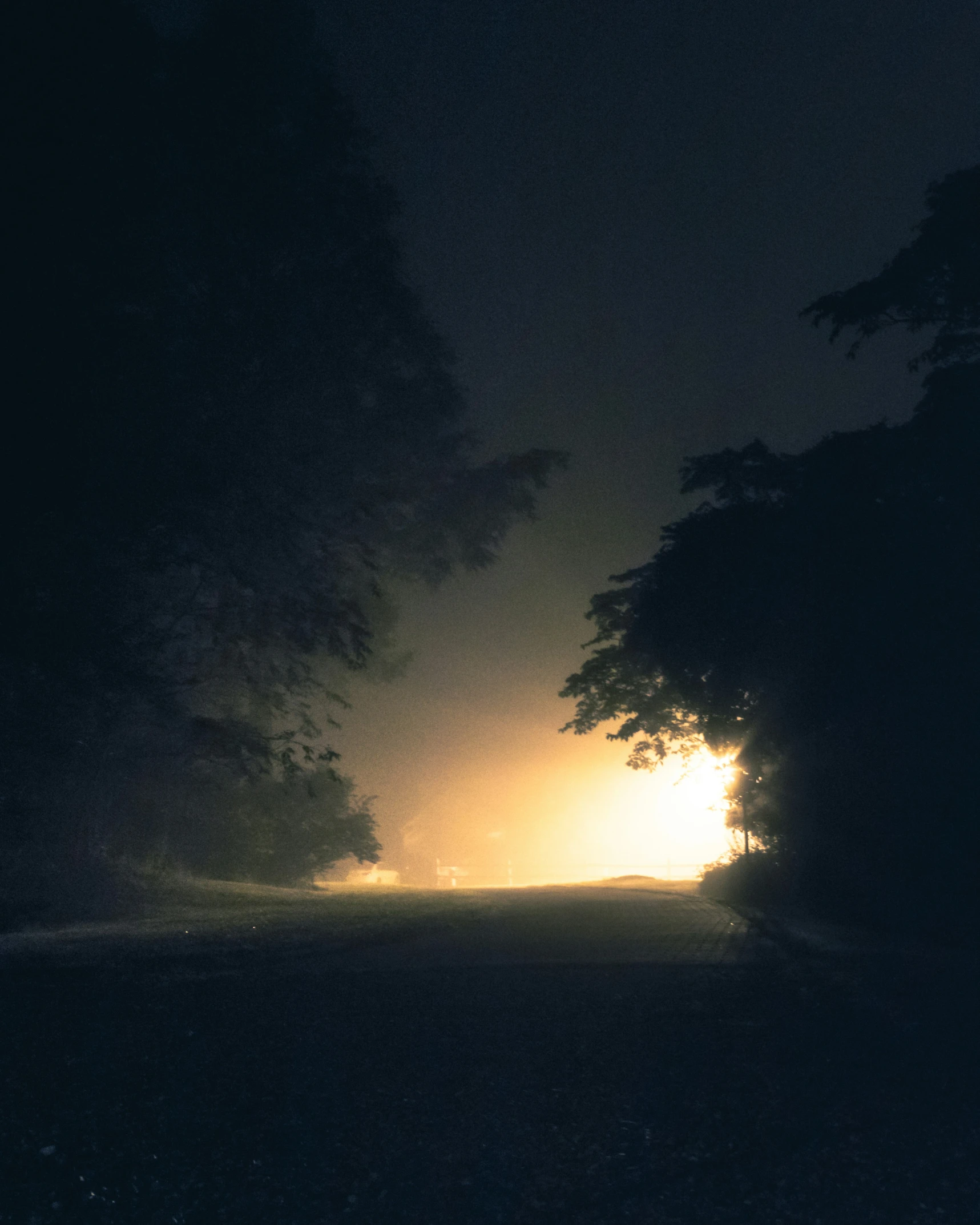 a street scene at night with the headlights on