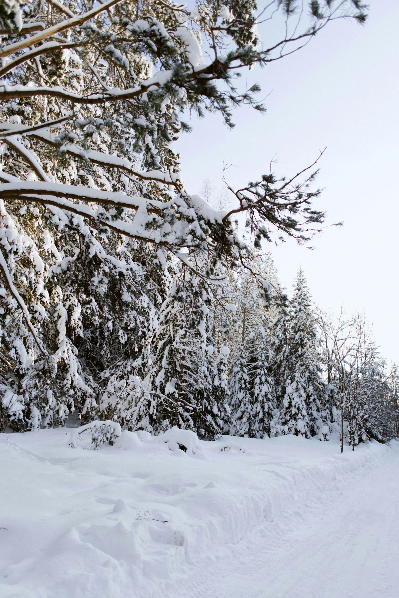 a man riding skis on top of a snow covered slope