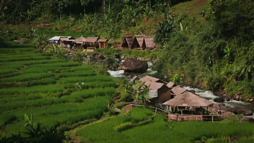 a village nestled among green grass in a river