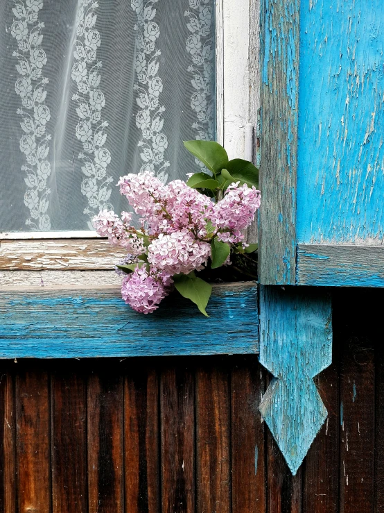 lilacs in the window of an old house