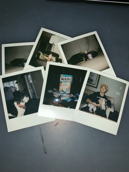 several polaroid pos of people and their cat