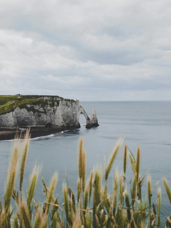 a cliff on a grassy land near the water