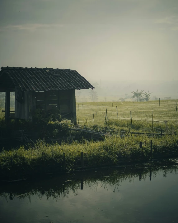 an old shack stands in a grassy field by a stream