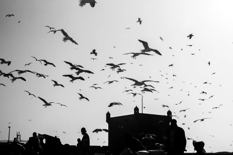 a flock of birds are flying near the roof of a building