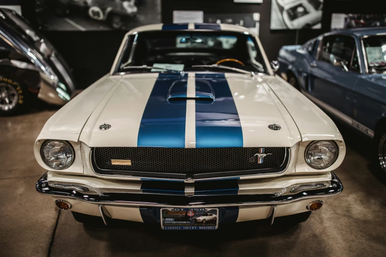 two white and blue mustangs are on display