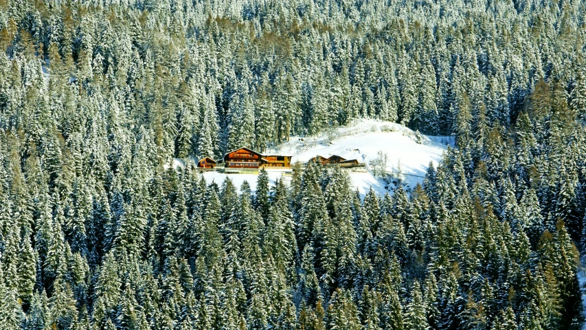 a snowy forest and some houses in the distance